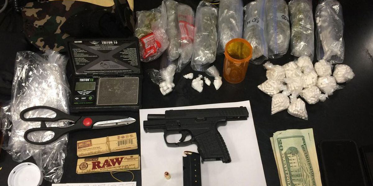 2 Men Arrested In Boston Public Gardens With Drugs Guns