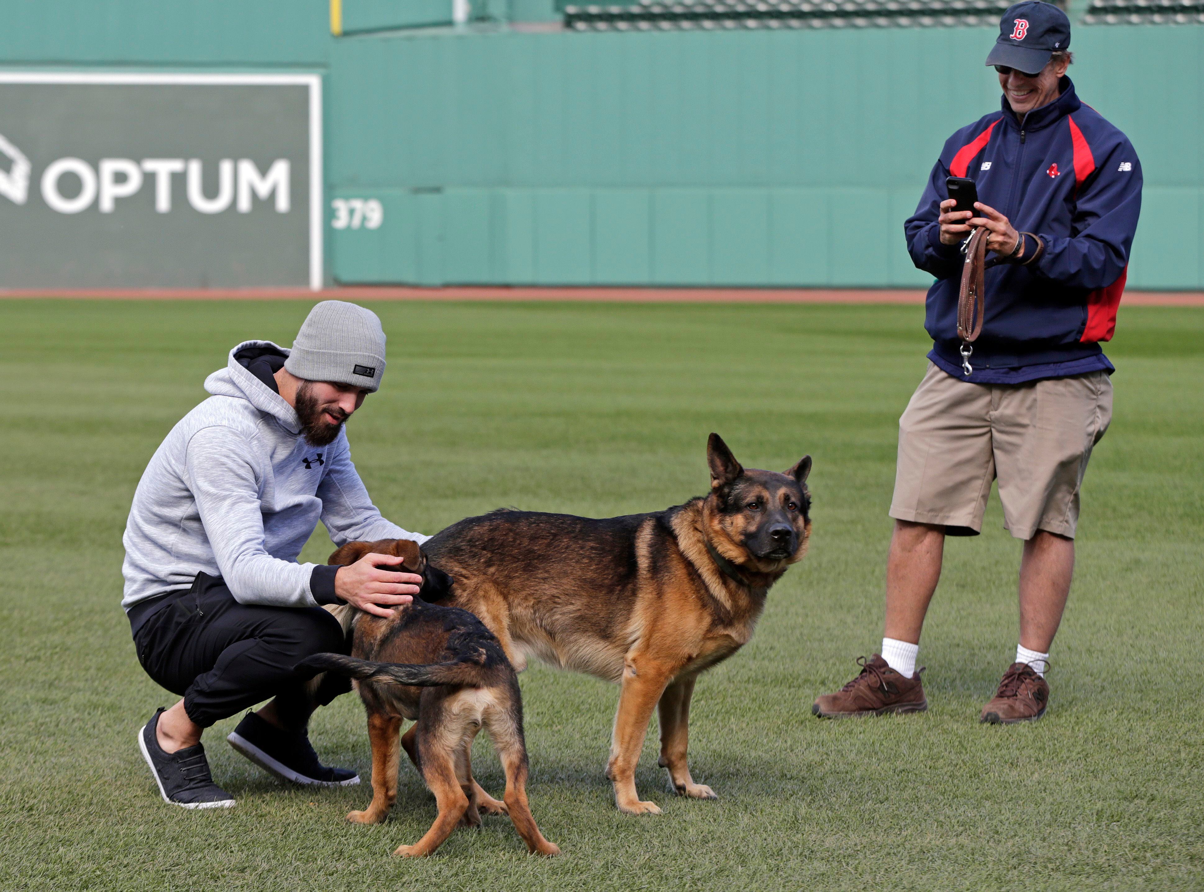 red sox, Dog, Red Sox And Patriots Dog Gear