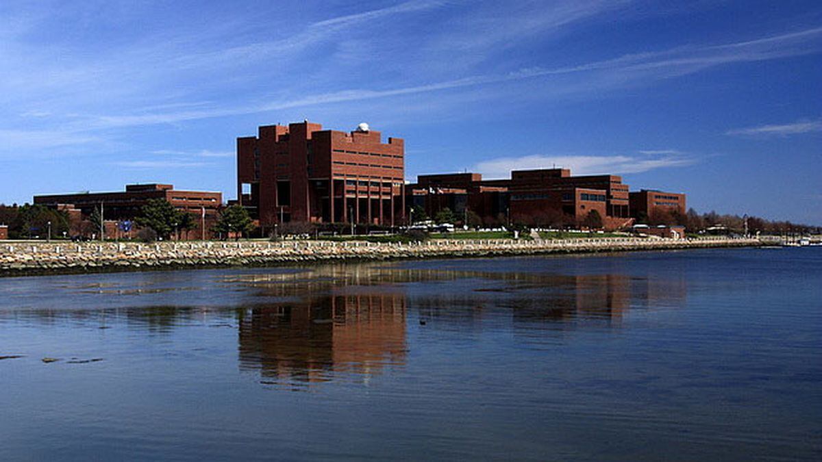 Umass Boston Closes Campus After Water Line Break Friday